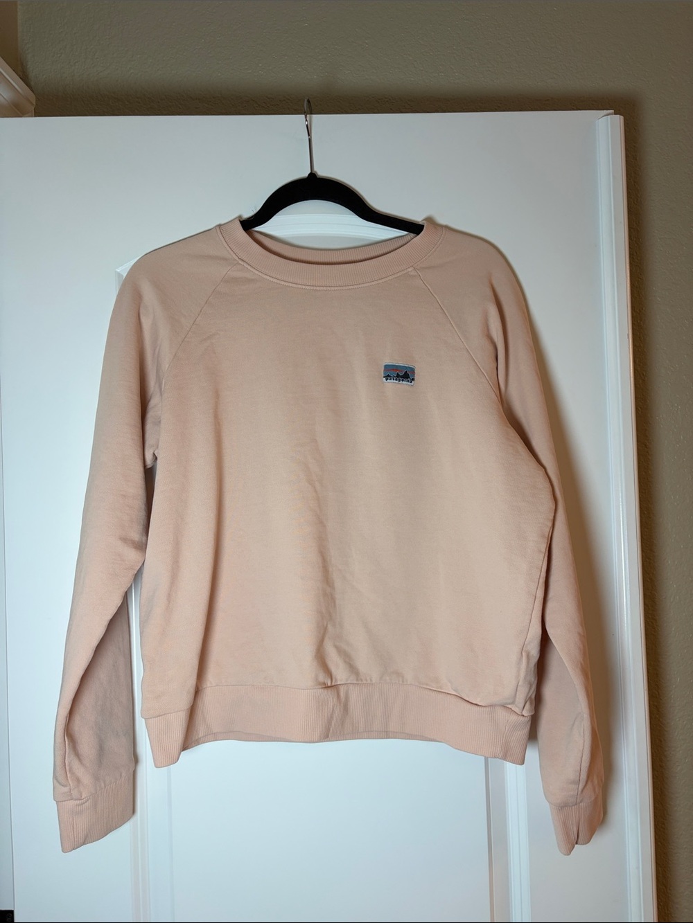 Patagonia Regenerative Organic Certified Cotton Light Peach Crewneck Sweatshirt